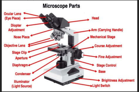 an image of microscope parts labeled in red and black text on a white background with words below it