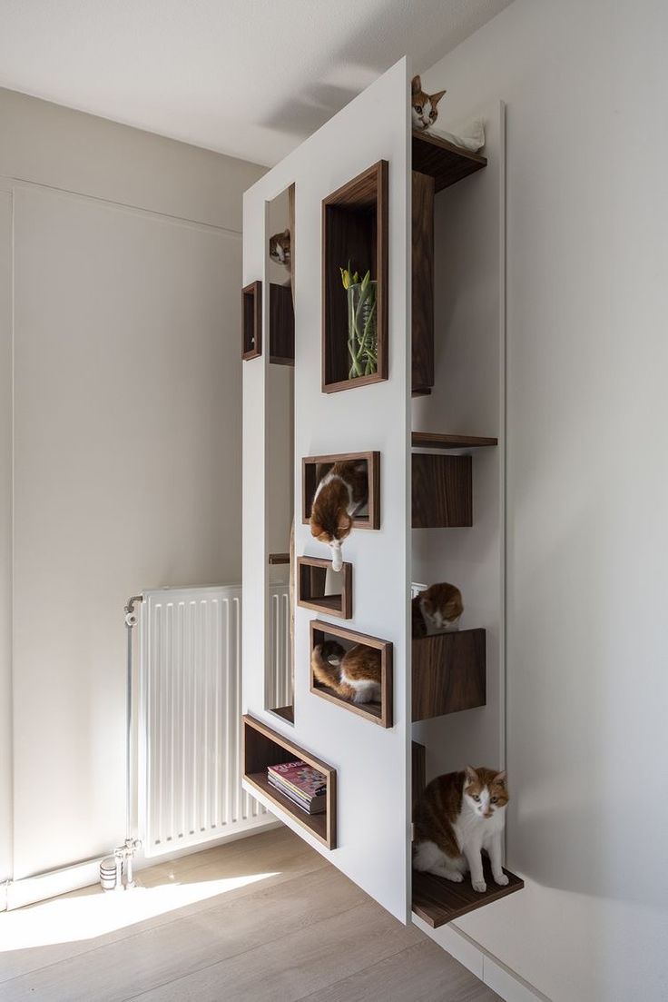 a cat sitting on top of a shelf next to a radiator in a room