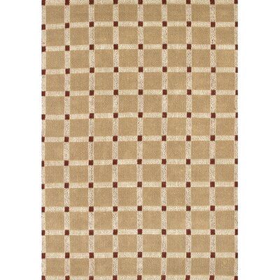 a beige and brown rug with squares on it