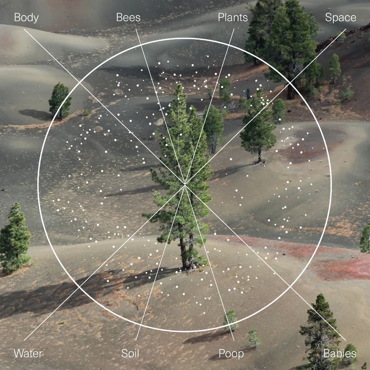 an aerial view of trees and land in the middle of a desert area with circles on it