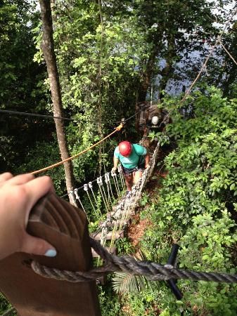 two people walking across a rope bridge in the woods