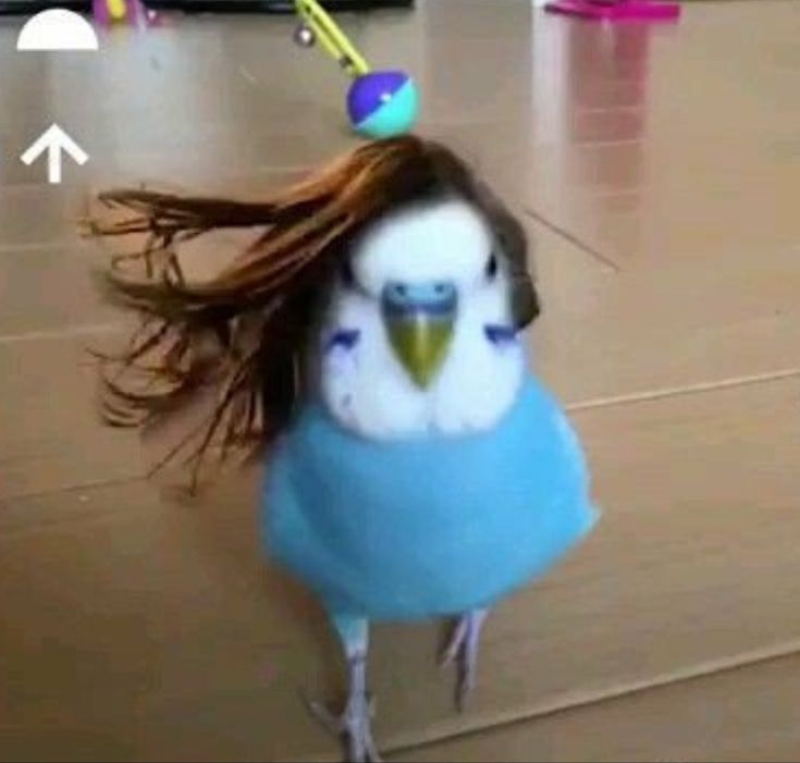 a bird with long hair is wearing a blue dress and has her head in the air