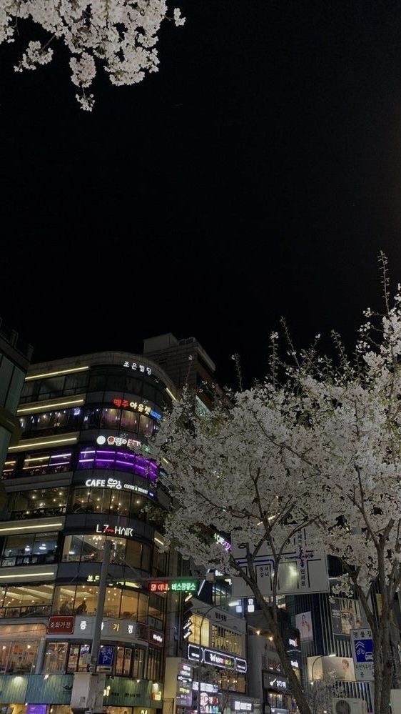 the city is lit up at night with cherry blossom trees