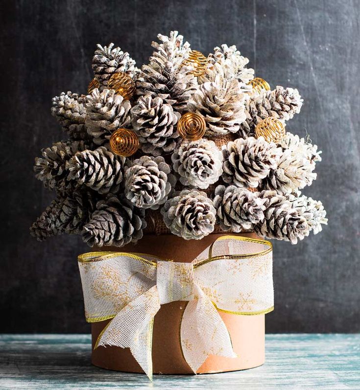 pine cones are wrapped in twine and tied to a vase with a bow on the side