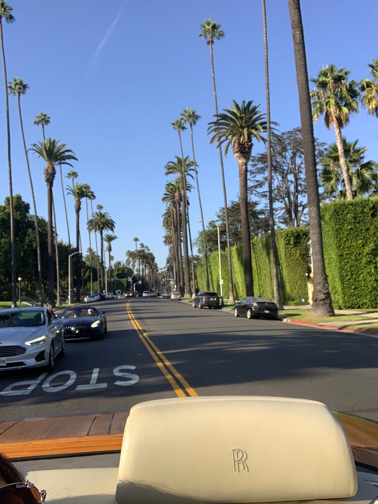 a street with palm trees and cars driving down it's side walk on a sunny day