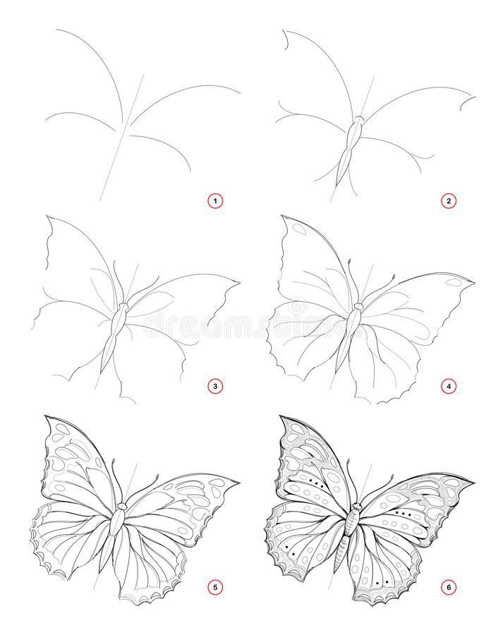 Butterfly Art Drawing Sketches, How To Draw Filigree Step By Step, How To Draw A Butterfly Step By Step, Flower Art Drawing Sketches, Butterfly Drawing Step By Step, Sketches Of Butterflies, Butterfly Step By Step Drawing, Creation Drawing, Trin For Trin Tegning