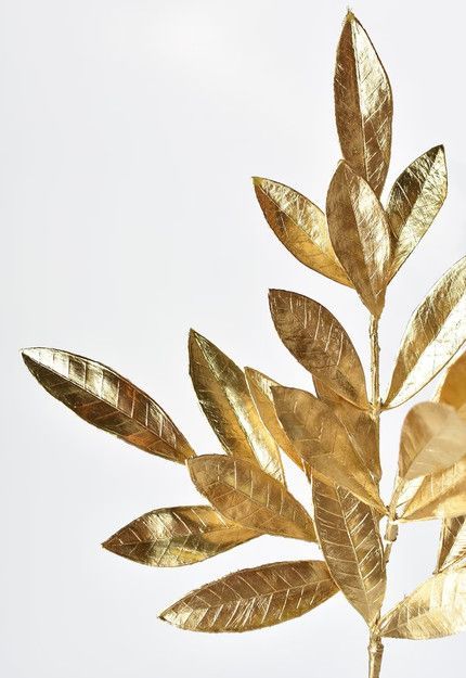 a close up of a gold leaf on a branch with white sky in the background