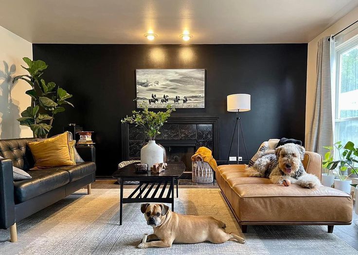 two dogs are sitting in the middle of a living room with black walls and furniture