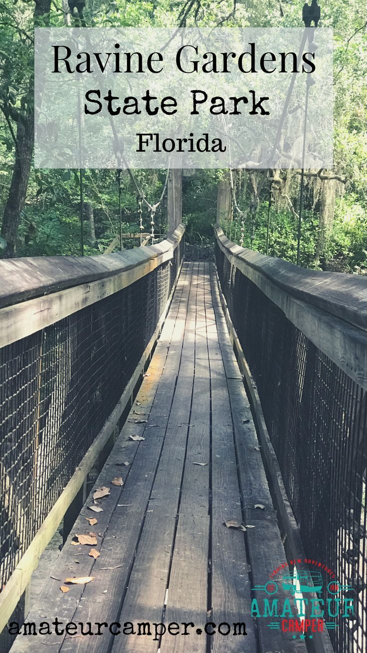 a wooden bridge in the middle of a forest with text overlay that reads ravie gardens state park florida