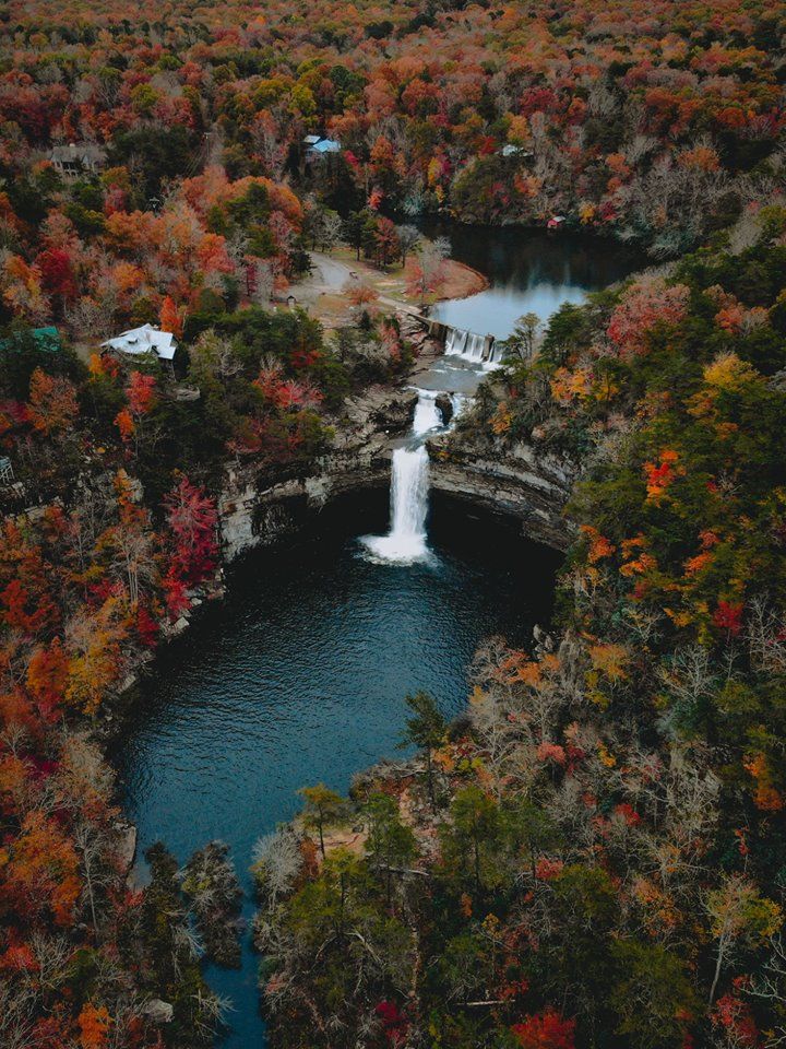 an aerial view of a waterfall in the middle of trees with fall foliage around it