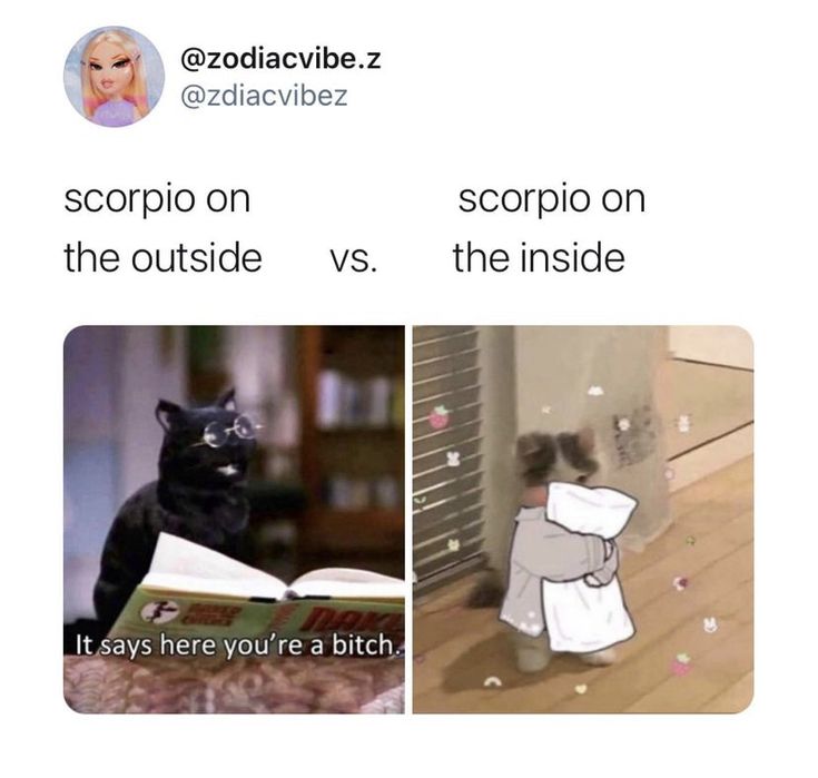 Scorpion Sign, Scorpio Things, Zodiac Mind Scorpio, Scorpio Funny, Scorpio Eyes, Zodiac Quotes Scorpio, Gemini And Scorpio, Astrology Scorpio, Zodiac Signs Chart