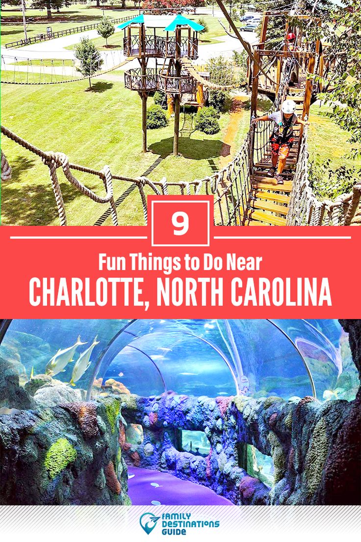 the top things to do in charlotte, north carolina with text overlay that reads 9 fun things to do near charlotte, north carolina