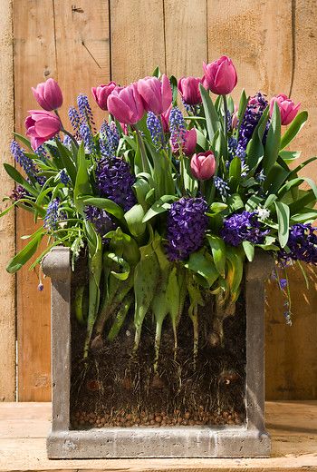 purple and white flowers are in a square planter