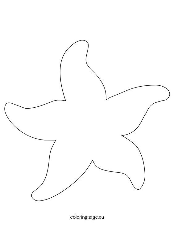 a drawing of a starfish on a white background