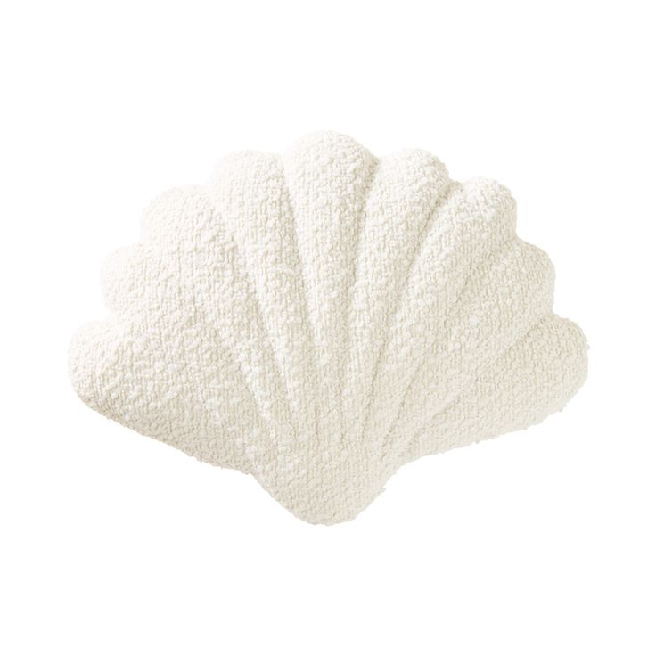 white scallop shells on a white background