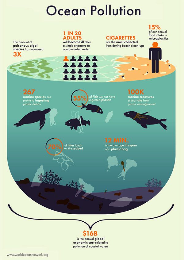 the ocean pollution is an important source for many people to see in this info sheet