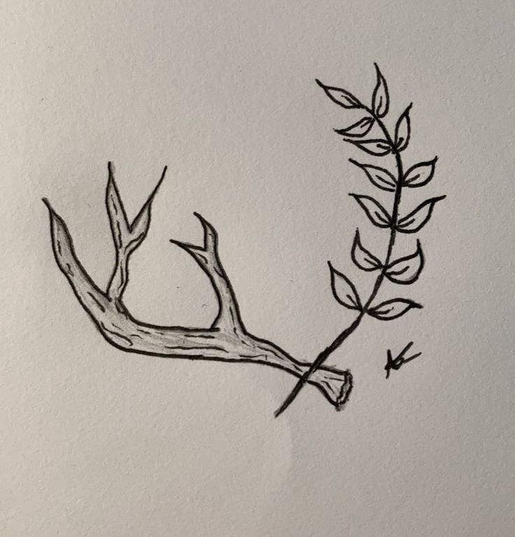 a drawing of a branch with leaves on it and an arrow pointing to the left