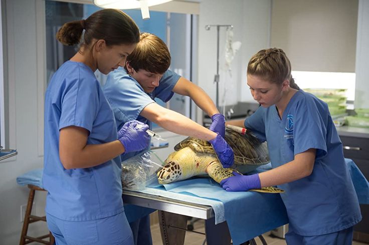 three women in scrubs and blue shirts are around a turtle that is on a table