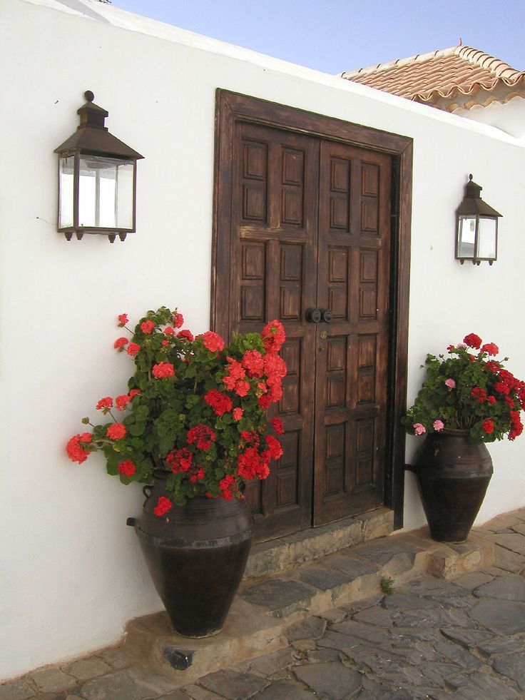 two large planters with red flowers in front of a white wall and wooden door