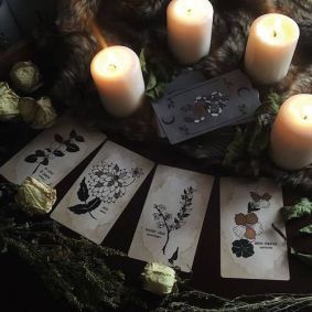 7 Witchy Academia, Magic Aesthetic, Season Of The Witch, Witch Aesthetic, Beautiful Cards, Witchy Woman, Kitchen Witch, Green Witch, Witchy Vibes