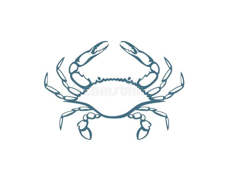 a blue crab on white background royalty illustration