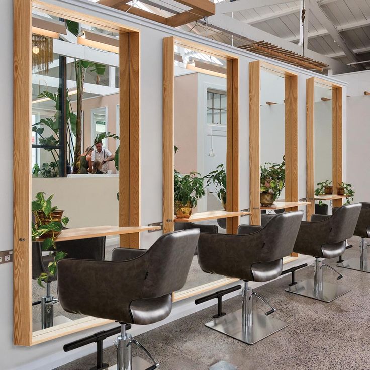 a row of chairs sitting in front of a window next to plants and potted plants