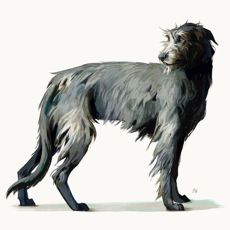 a painting of a dog standing in front of a white background