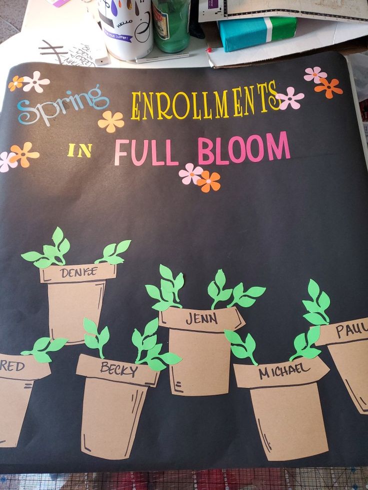 a bulletin board with flowers on it and writing that says, spring enrolments in full bloom