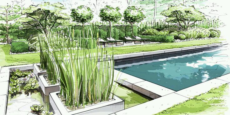 an artistic rendering of a garden with a pond