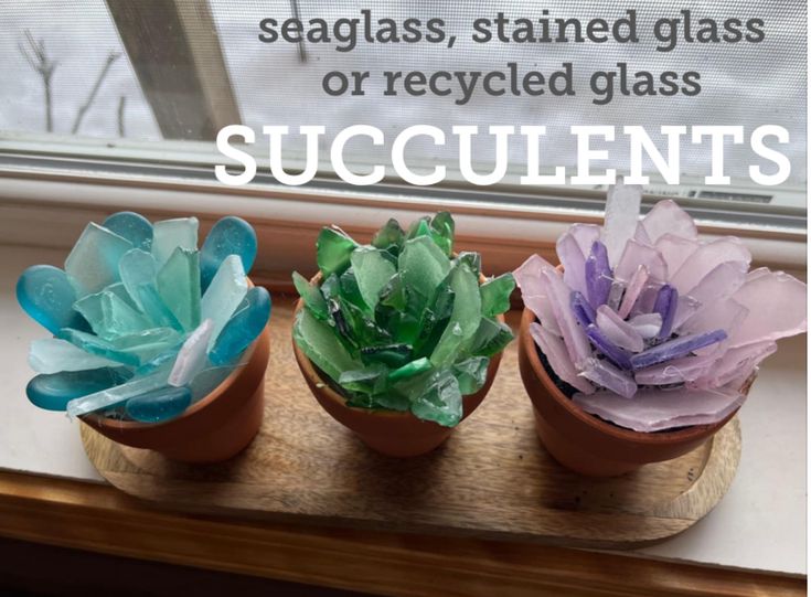 three potted plants sitting on top of a window sill with the words succulents