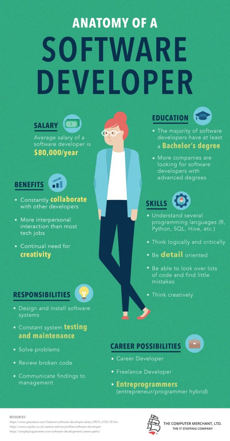 the anatomy of a software development engineer infographical poster - click to enlarge