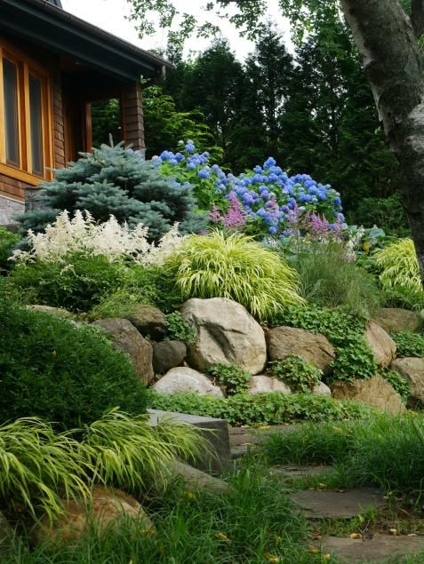 a garden with rocks and flowers in the foreground