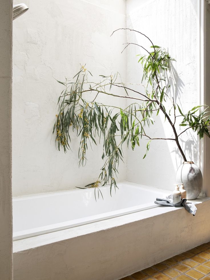 a white bath tub sitting under a window next to a potted plant on top of a counter