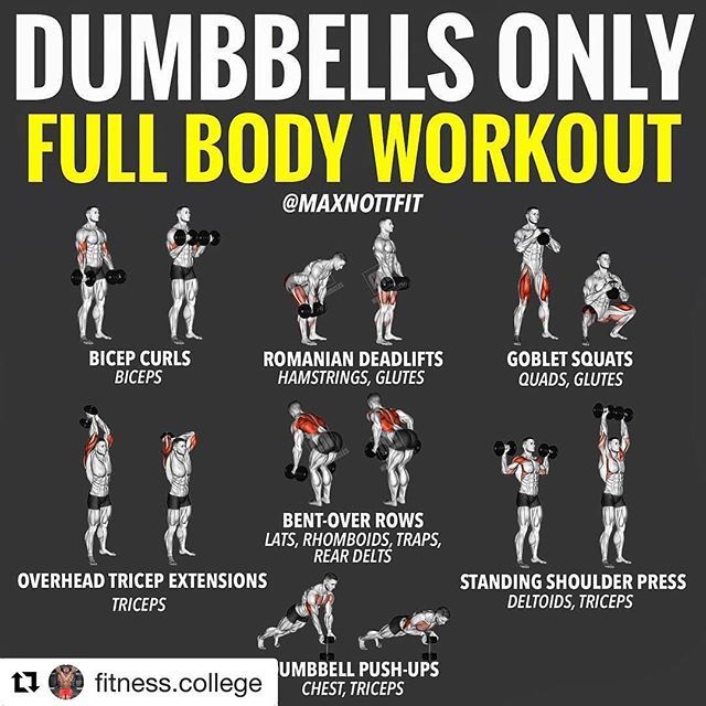 the dumbbells only full body workout poster