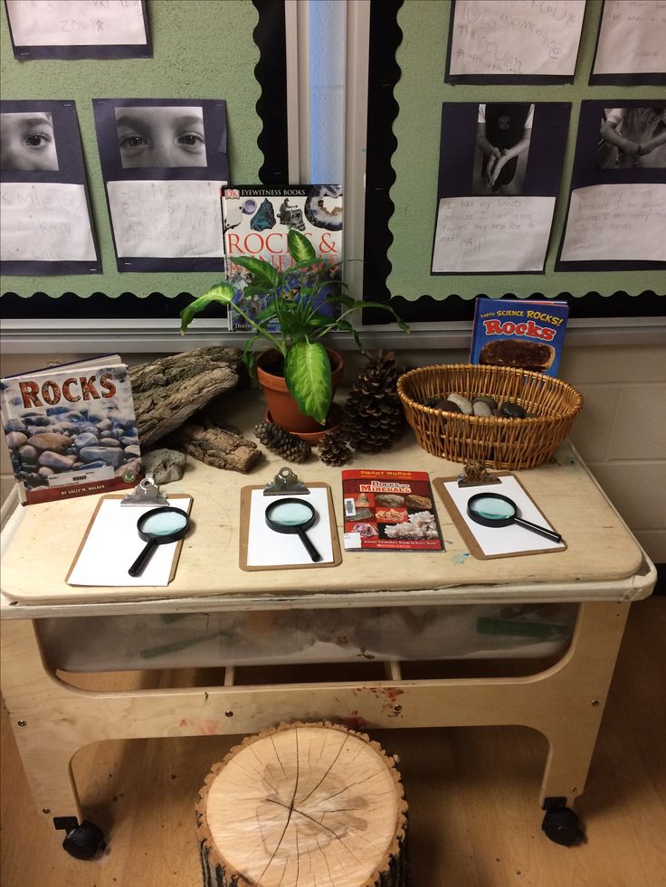 a table topped with lots of books on top of a wooden table next to a potted plant