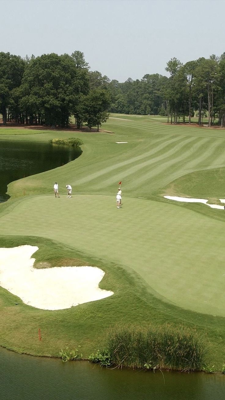 several people playing golf on a green course near the water and trees in the background