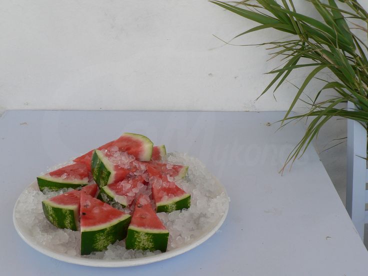 slices of watermelon are sitting on top of ice in front of a potted plant