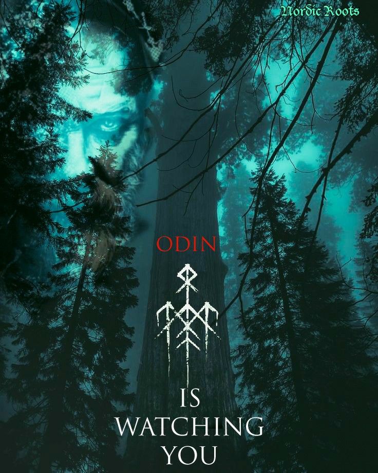 the movie poster for odin is watching you with trees in the foreground and an image of a man's face