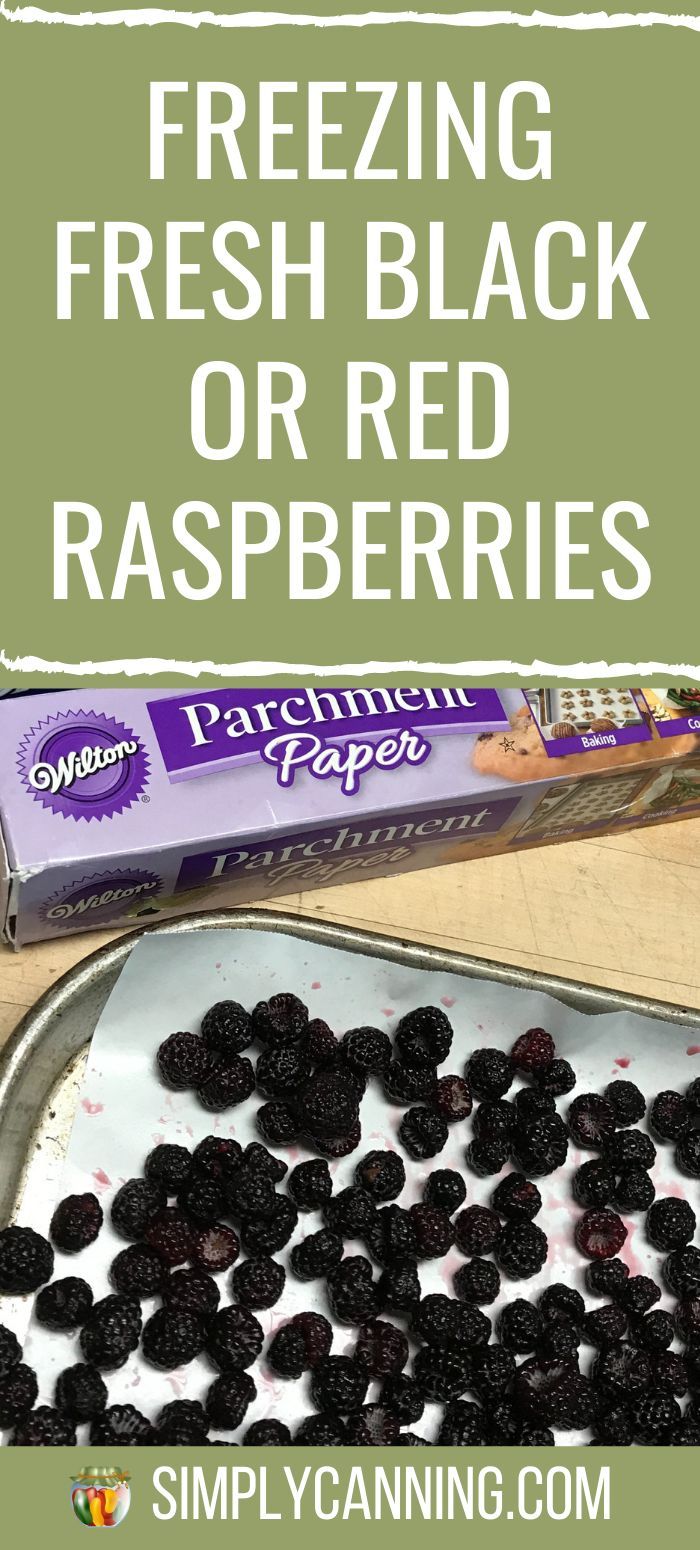 Freezing Raspberries How To Freeze Raspberries, Freezing Raspberries, Black Raspberry Recipes, Black Raspberry Pie, Freezing Fruit, Black Raspberries, Freezing Food, Raspberry Pie, Raspberry Recipes