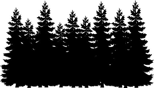 black and white silhouettes of pine trees