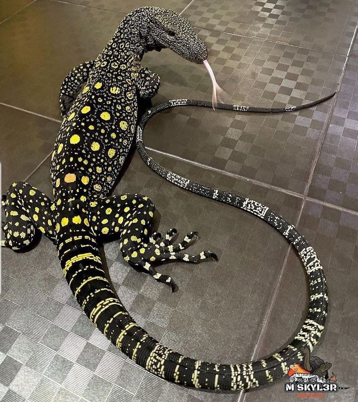 a large black and yellow lizard laying on top of a tiled floor next to a white wall