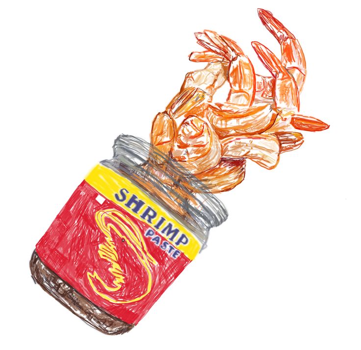 a drawing of shrimp in a jar