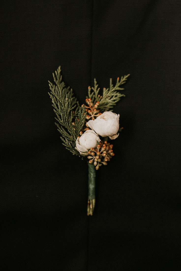 a bouquet of white flowers and pine cones on a black background with space for text