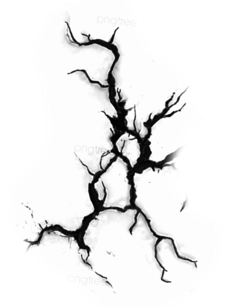 a black and white photo of branches with no leaves on it, against a white background