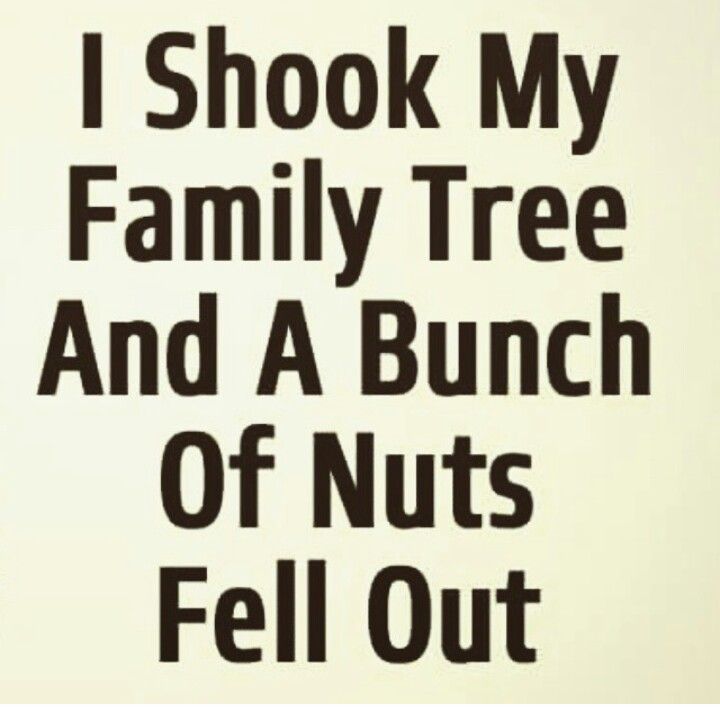 a sign that says i shock my family tree and a bunch of nuts fell out