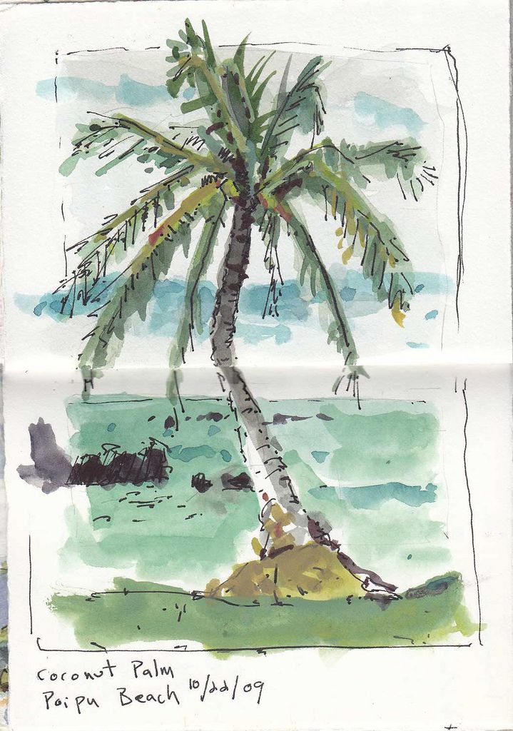 a drawing of a palm tree on the beach