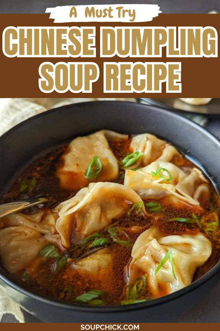 Chinese Dumpling Soup Recipe Bao Soup Dumplings, Chinese Chicken Dumpling Soup, Easy Soup Dumpling Recipe, Asian Soup Crockpot, Pork Dumpling Soup Recipes, Dumplings In Soup, Asian Dumpling Soup Easy, Dumpling Soup Broth, Crockpot Dumpling Soup