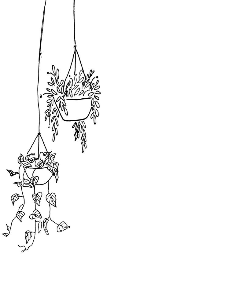 a black and white drawing of a hanging planter