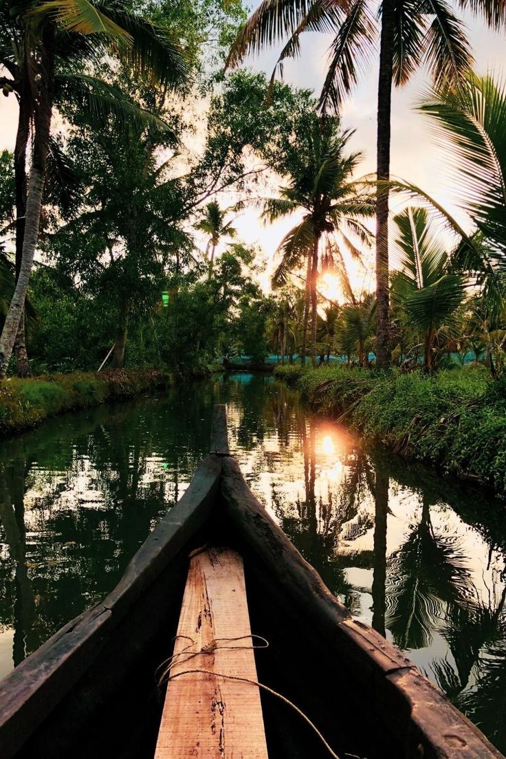 a wooden boat traveling down a river surrounded by palm trees and greenery at sunset