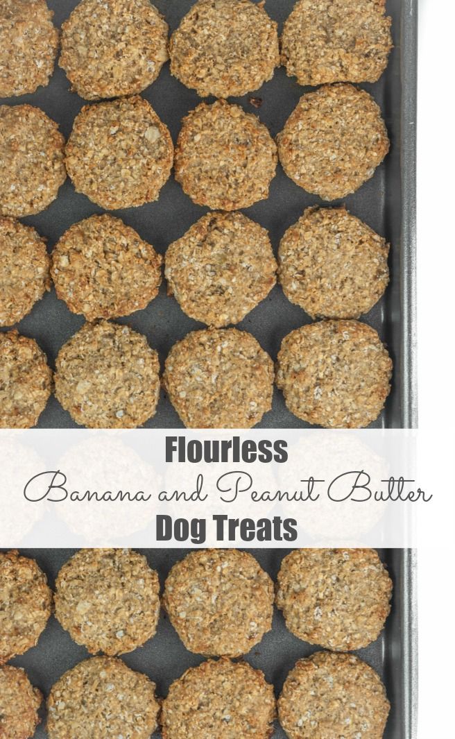 banana and peanut butter dog treats in a baking pan with the words flourless, banana and peanut butter dog treats